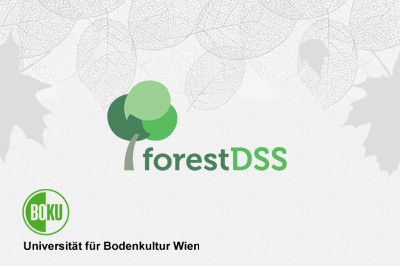 BOKU - Forest DSS